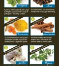 8 All-Healing Herbs Infographic