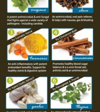 8 All-Healing Herbs Infographic