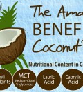 9 Coconut Oil Benefits For Your Health Infographic