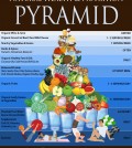 Healthy Food Pyramid Infographic