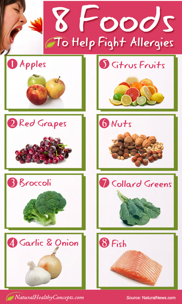 8 FoodRemedies For Allergy Infographic