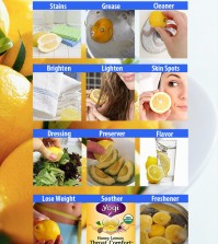 12 Secret Uses For A Lemon Infographic