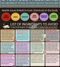 Influence Of Toxic Chemicals On Our Health Infographic