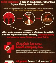 15 Facts about Chocolate Infographic