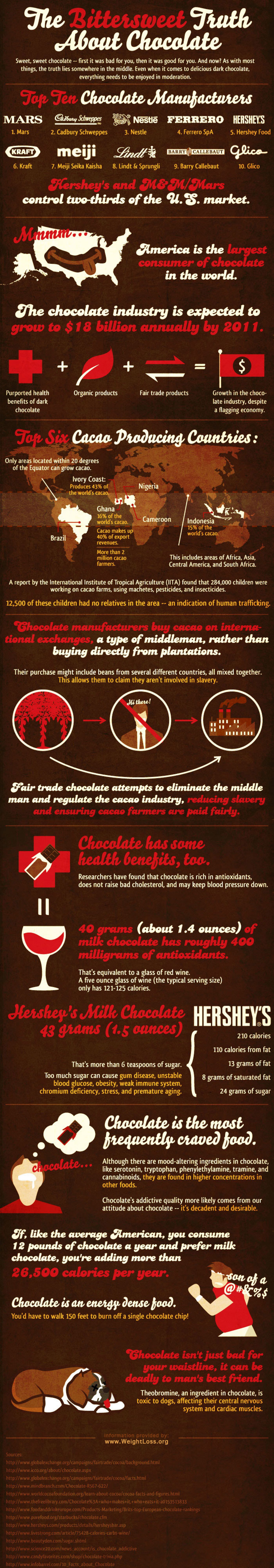 15 Facts about Chocolate Infographic