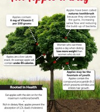 Surprising Apple Benefits Infographic