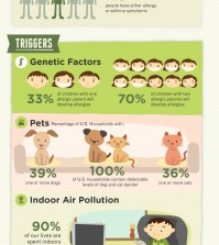 Allergies In America Infographic