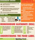 Everything About Food Labels Infographic