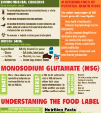 Everything About Food Labels Infographic