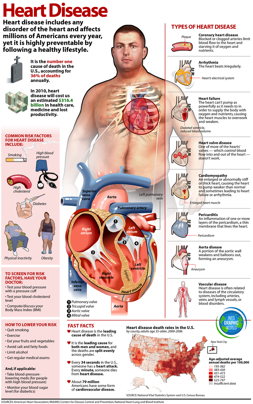 All About Heart Disease Infographic