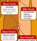 Herbal Medicines Guide Infographic