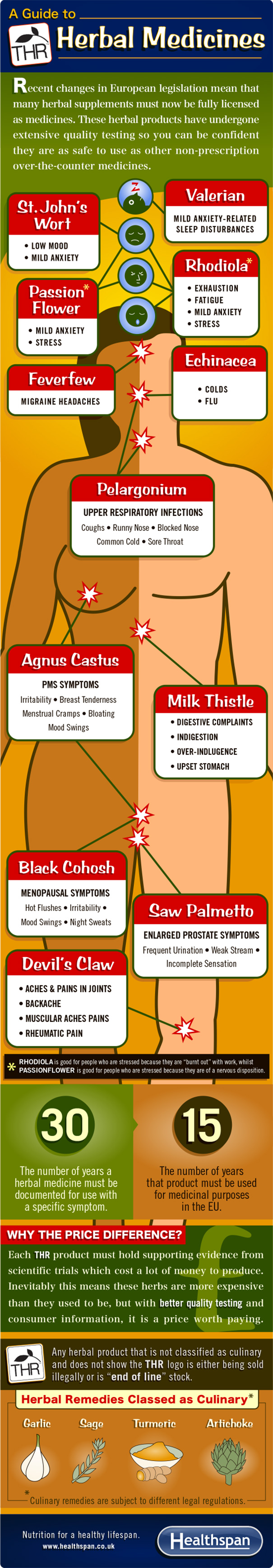 Herbal Medicines Guide Infographic