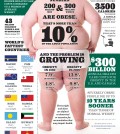 The World Is Fat Infographic