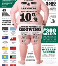 The World Is Fat Infographic