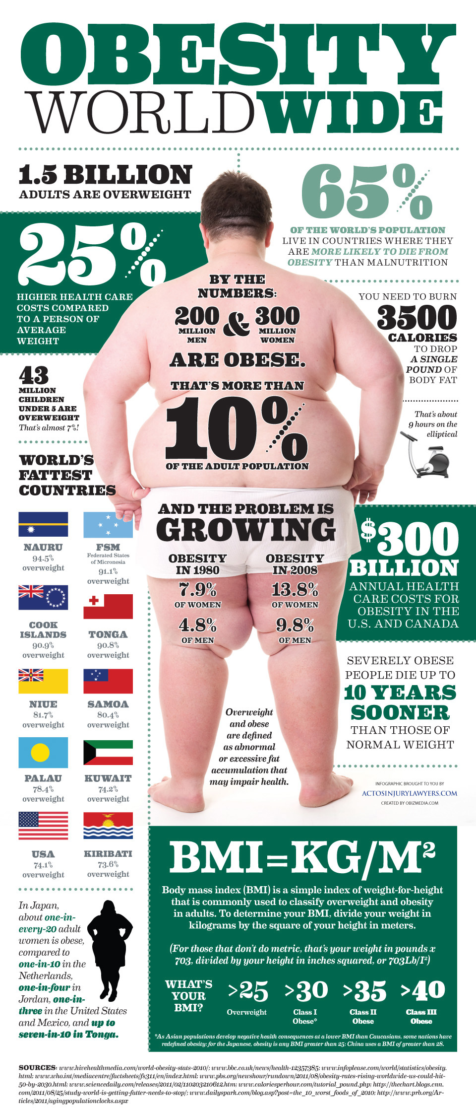 The World Is Fat Infographic