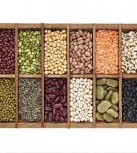 old wooden typesetter box with 16 samples of assorted legumes: green, red and French lentils