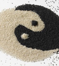 Black And White Sesame Seeds