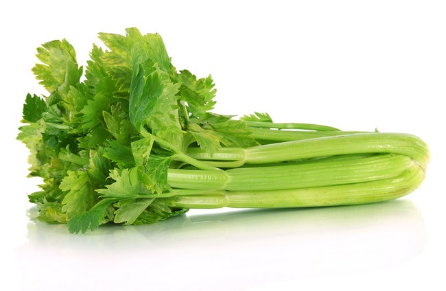 Fresh green celery isolated