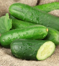 Tasty green cucumbers on sackcloth background