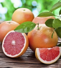 Grapefruits on a wooden table with green foliage