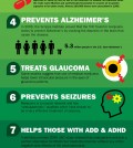 10 Marijuana Benefits Infographic