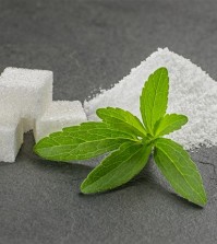 Stevia leaves with stevia powder and sugar cubes on a slate plat