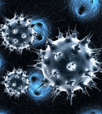 virus 3d image