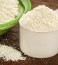 measuring scoop of whey protein powder with a bowl