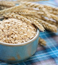 bowl full of oats