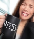 Stress - business person stressed at office. Business woman hold
