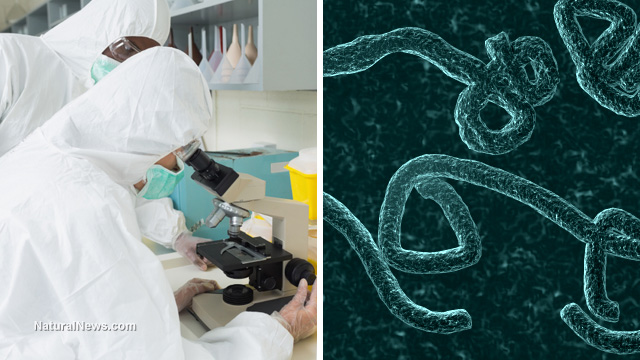 Lab-Scientists-Ebola-Virus-Microscope