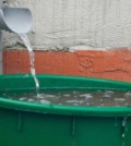 Rain-Barrel-Collect-Water