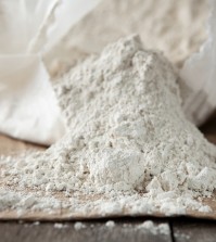 Diatomaceous Earth