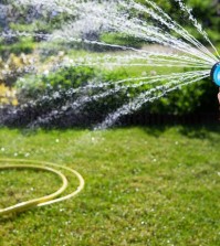 Woman's hand with garden hose watering plants, gardening concept