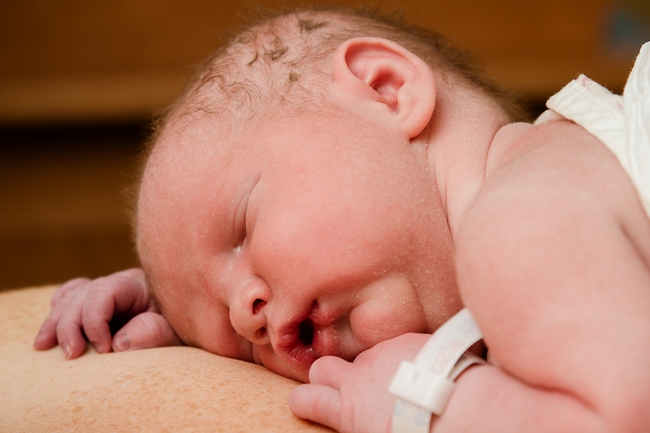 Portrait of infant resting on mother moments after birth