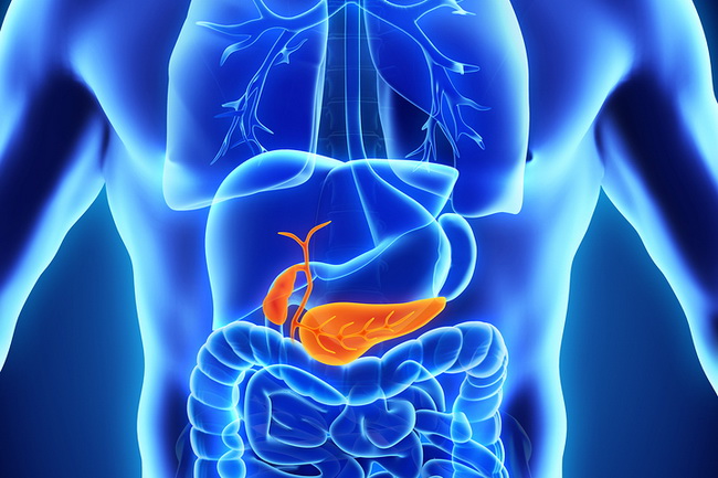 Best 12 Foods and Herbs for a Healthy Pancreas – NaturalON - Natural