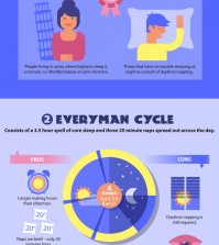 4 Sleeping Cycles Infographic