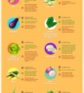 33 Tips When Buying Vegetables Infographic