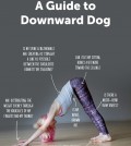 6 Steps To Downward Dog Infographic