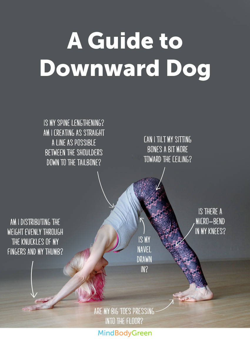 6-steps-to-downward-dog-infographic