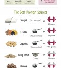 11 Plant-Based Protein Sources Infographic