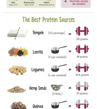 11 Plant-Based Protein Sources Infographic