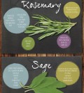 10 Herbs You Use When Cooking Infographic