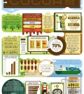 What Do You Know About Cocoa? Infographic