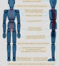 36 Tips For Back Pain Infographic