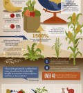 Say NO To GMO Infographic