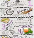 7 Herbs For Stress Infographic