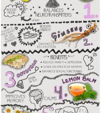 7 Herbs For Stress Infographic