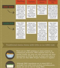 Thanksgiving Without GMO Infographic