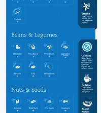 Plant-Based Calcium Sources Infographic